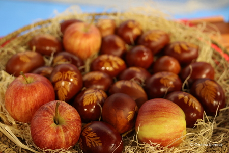 Ko v naši dolini zadiši  (12)